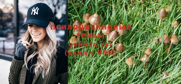 сатива Строитель