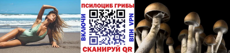 Купить  Чапаевск  Псилоцибиновые грибы ЛСД 